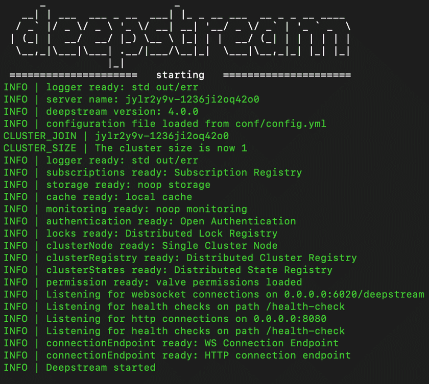 Starting deepstream on osx